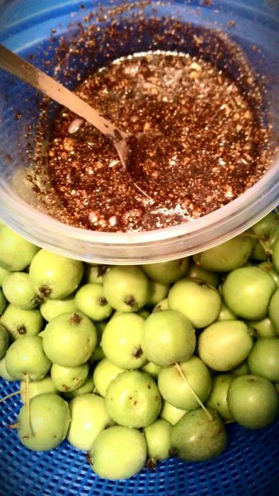 pickled apples with rye flour