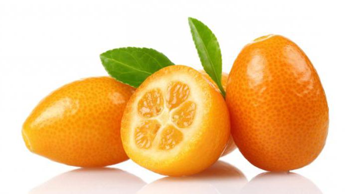 kumquat de la fruta