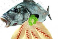 Морська промислова риба саварин (варехоу): опис, фото