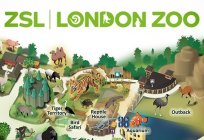 ロンドン動物園:住民、歴史、地