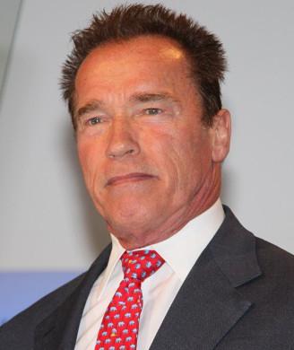 Filme mit Arnold Schwarzenegger