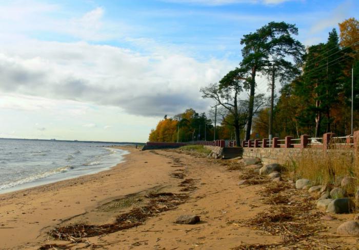 vacation in the Leningrad region on the Gulf of Finland