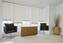 Roller blinds: reviews, features, types and recommendations