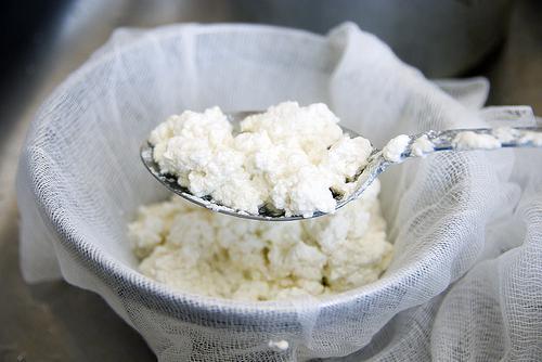 the benefits and harms of cottage cheese low fat soft gentle