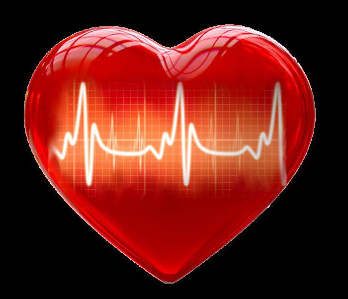 EKG zeigt, ob ein Herzinfarkt