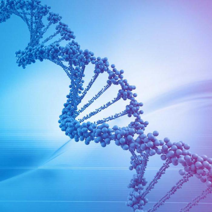 DNA断片化の精子