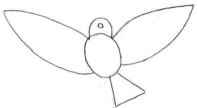 como desenhar um papagaio lápis fases