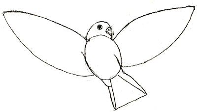 як малювати папуги