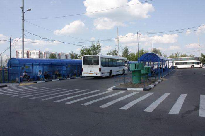 Moscow bus station schedule