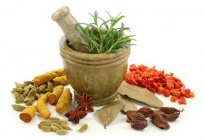 Ayurveda - eating according to the rules. Recipes and healthy eating rules