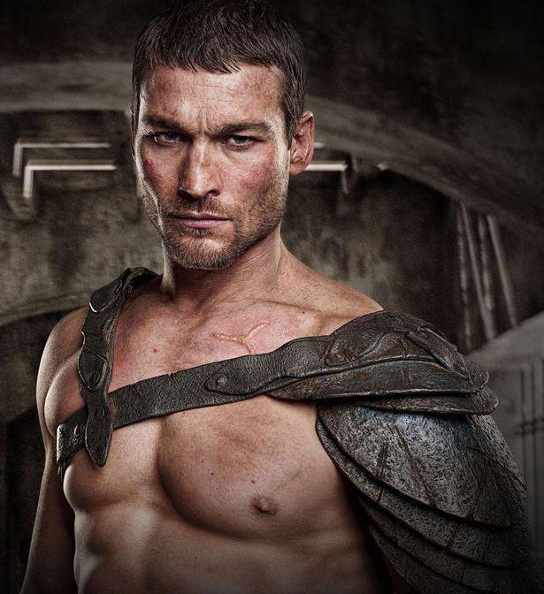 Andy Whitfield biography