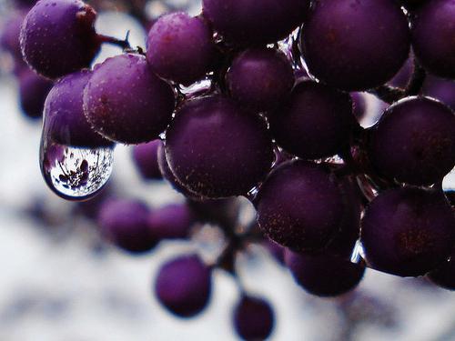el aceite cosmético de semilla de uva