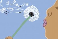How to draw a dandelion. Sequential drawings with annotations