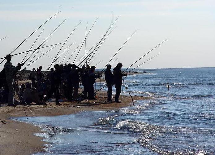 balıkçılık anapa temmuz ayında