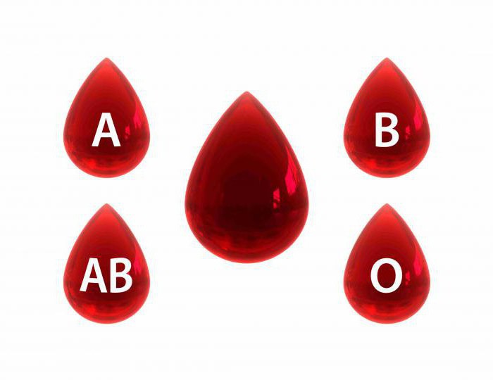 ¿qué grupo sanguíneo universal