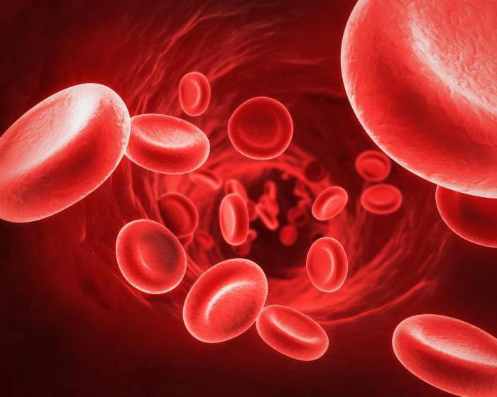 die Tabelle der Kompatibilität der Blutgruppen