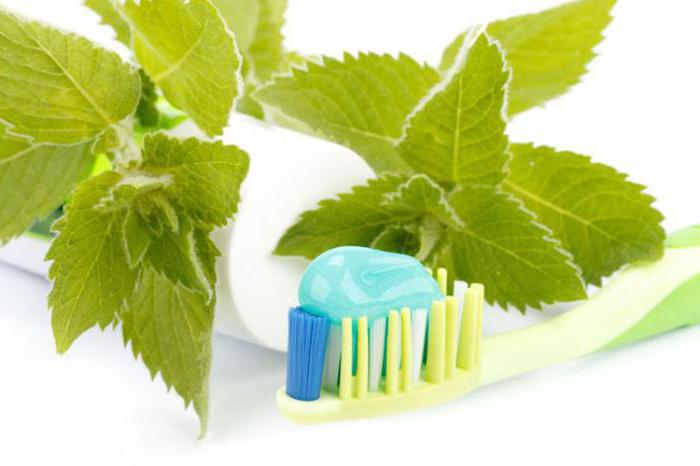 Natural pasta de dentes