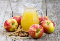 Professional juicer for apples - description, features and reviews