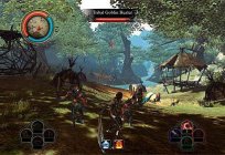 Dragon Knight: überblick über die Handlung, Gameplay, System Rollen Formen und Schlachten.