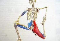الحرقفية القطنية العضلات: ما هي النتيجة من فرط?