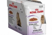 Best food for sterilized cats: feedback from vets about the different types