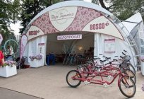 貸し自転車:Gorky公園（モスクワ）
