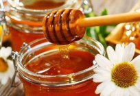 Can the honey with pancreatitis? Expert advice