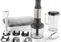 How to choose an immersion blender: practical tips
