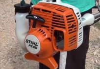 Condensador de ajuste de Stihl FS 55: examinar las características de los clientes y propietarios