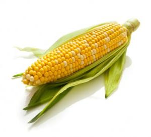 jak przechowywać kukurydza w kolbach