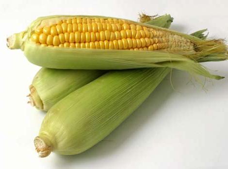 shelf life of corn