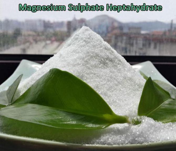 マグネシウム硫酸塩価格