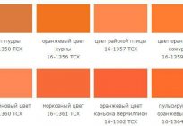Orange Farbton: Empfang, Beschreibung und Besonderheiten der Kombination
