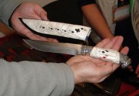 Knife zhbanova: manufacturer, description, reviews