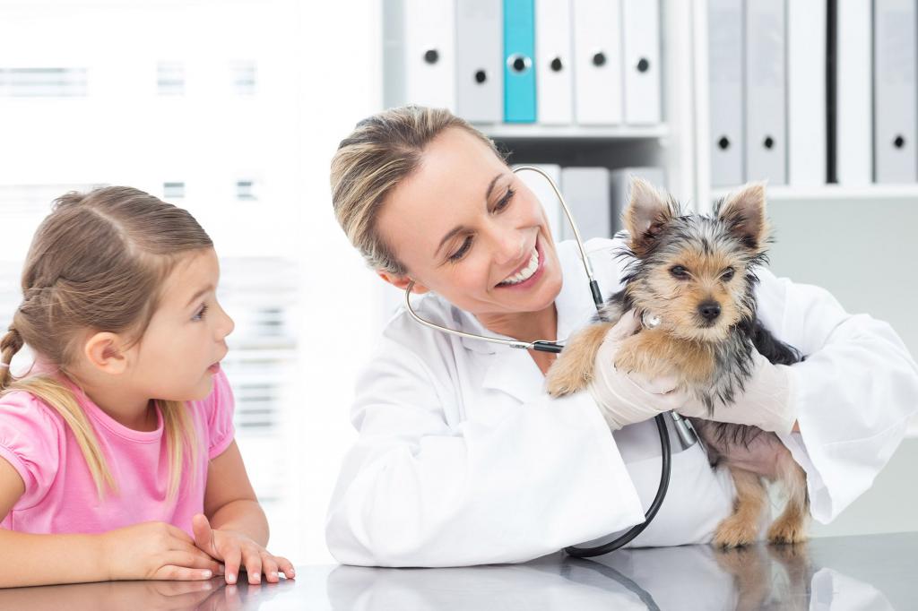 wirusowe zapalenie jelit u psów