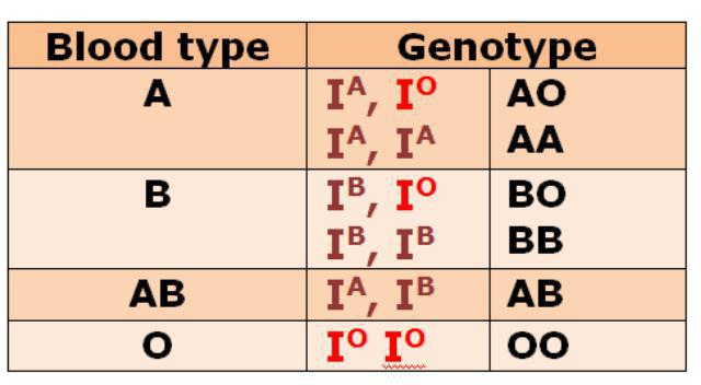 multiple allelism blood group