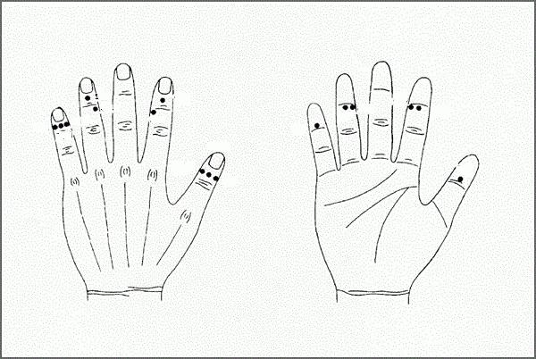 points on the hands responsible for the organs