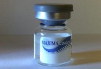 Maxima Colors lenses that will make your look unique!