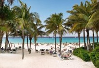 Hotel ClubHotel Riu Tequila 5* in Mexico: an overview, description and reviews
