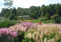 The Vladivostok Botanical garden: photos, reviews