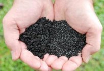Wie effektiv ist die Kohle-Säule zur Reinigung von Moonshine