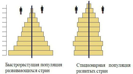 age-sex pyramid Russia