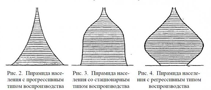 age-sex pyramid of the population of Russia