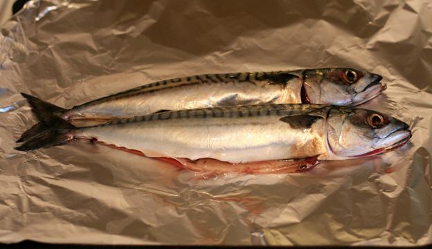 cooking mackerel in the oven