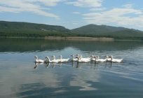 Göl Узункуль: açıklama, nerede, foto