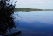 जलाशय Vyshnevolotskiy, Tver ओब्लास्ट: इतिहास, विवरण, अवकाश, मछली पकड़ना