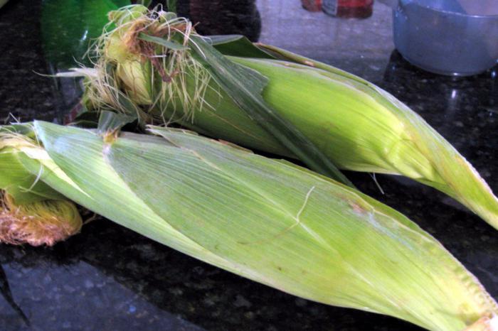 how multivarka Redmond to cook corn