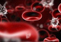 低血小板中的血液：原因和方式以改善