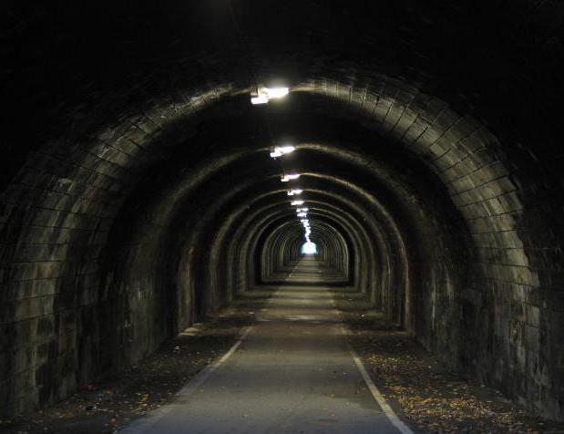 the tunnel or the tunnel