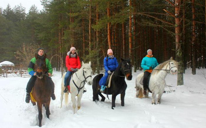 prospects for development of equestrian tourism